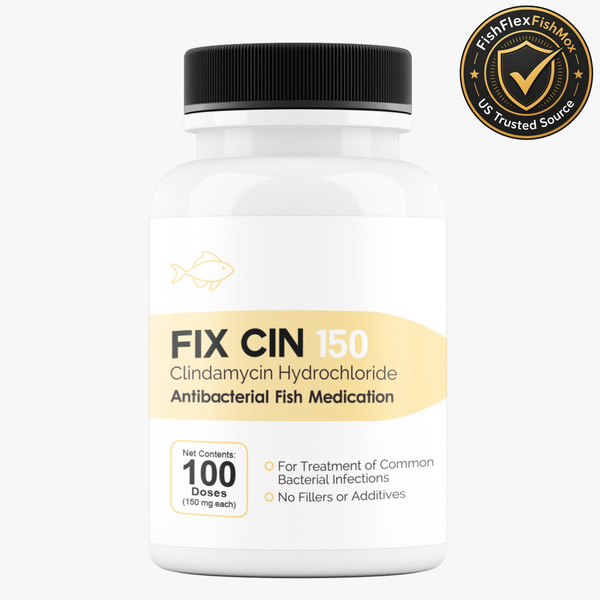Fish Cin 150