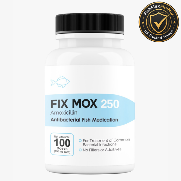 Fish Mox 250 100